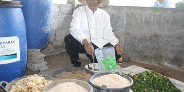 burgerpakanikan