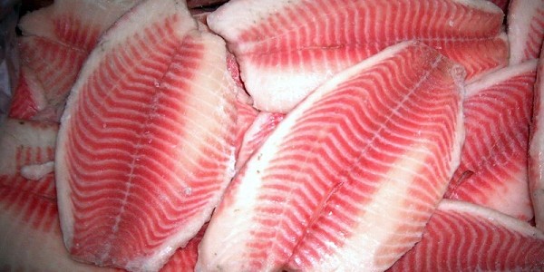 fillet ikan nila