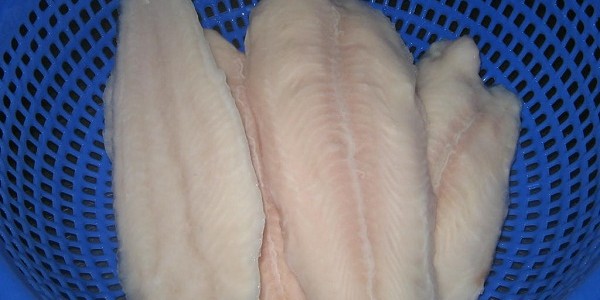 Fillet Ikan Patin