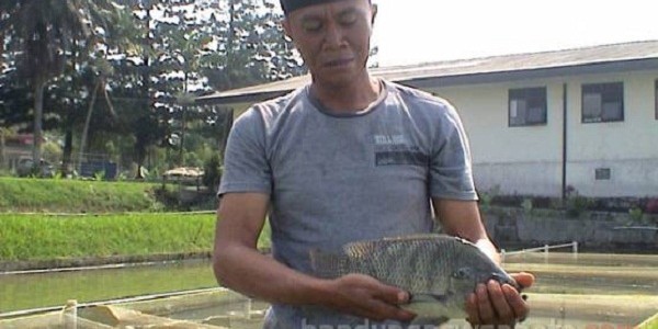 ikannilasultana