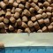 HArga Pelet Ikan