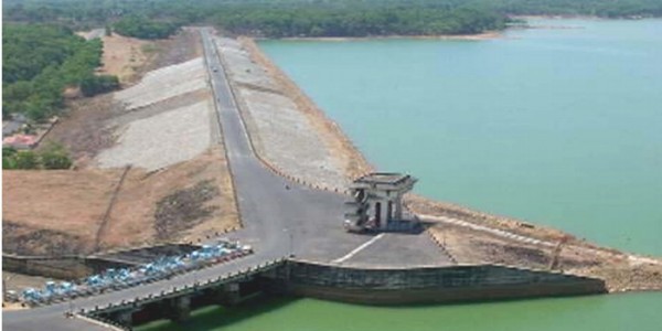ikan patin waduk gajah mungkur
