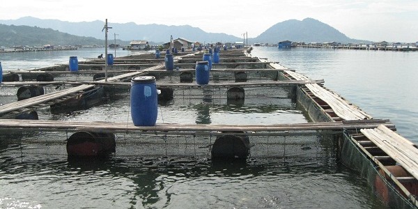keramba jaring apung
