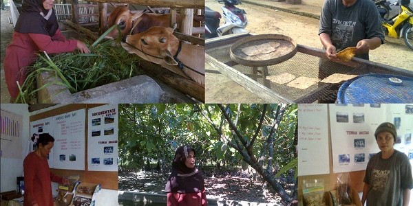 sugihartipetanisukses2012