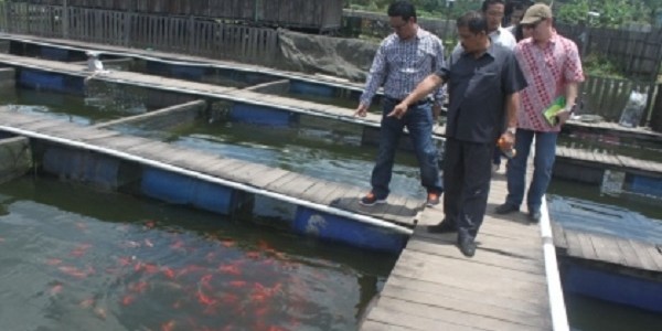Budidaya Ikan Kaltim