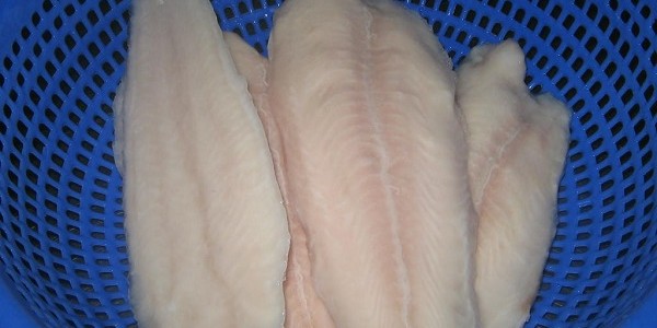Fillet Ikan Patin