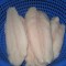 Fillet Ikan Patin