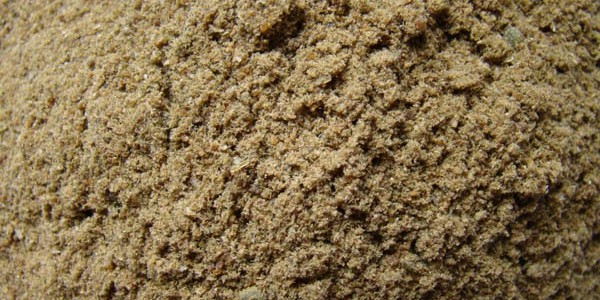 Tepung Ikan Berkualitas