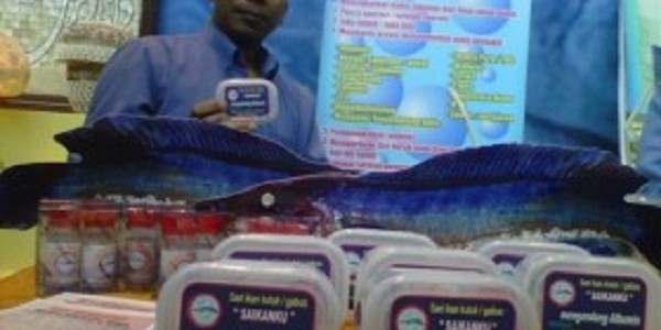 Albumin Saikanku Sari Ikan Gabus Cair