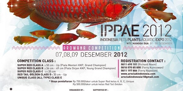 Arwana Platinum Harga 1 Milyar