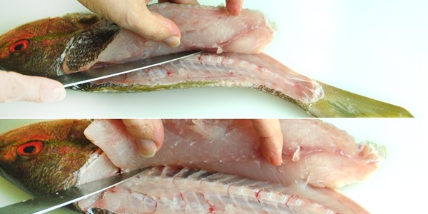 Cara Membuat Fillet Ikan