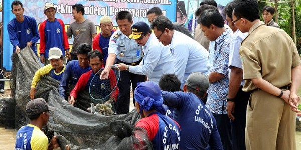 panen lele sangkuriang