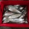 Panen Ikan Bandeng