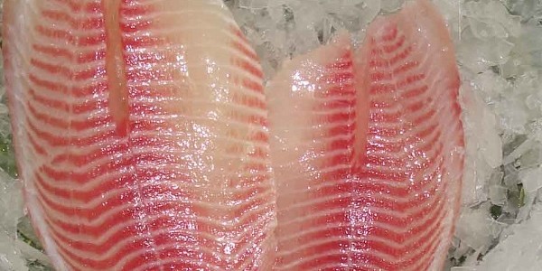memasak ikan beku