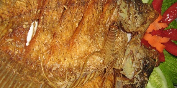 tips menggoreng ikan