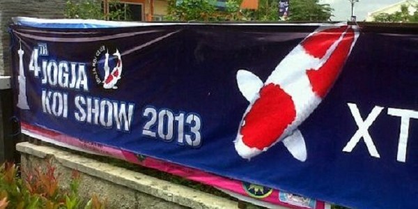 Jogja Koi Show 2013