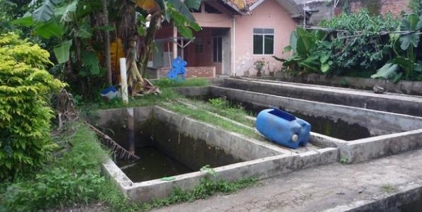 Tips Menambal Kolam Ikan Bocor