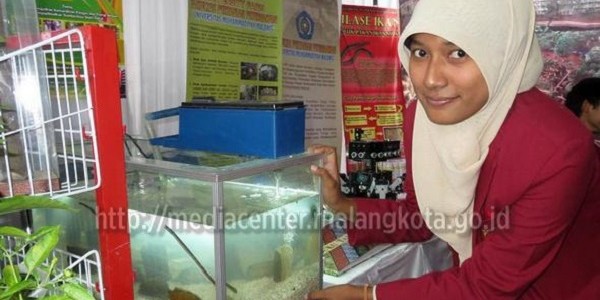 Silase Pakan Sidat Ekonomis